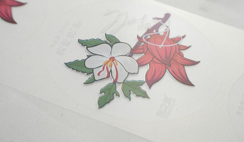 Мөлдір BOPP жапсырмасы